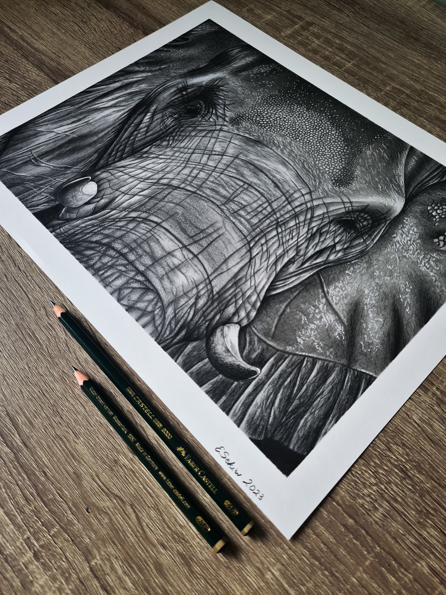 The elephant glance