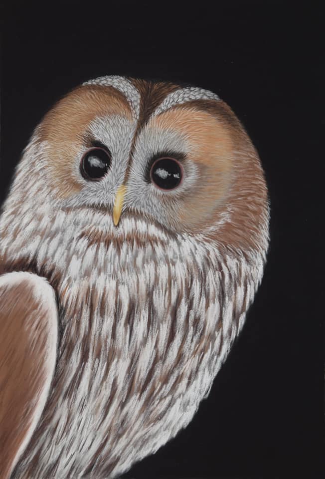 Night owl