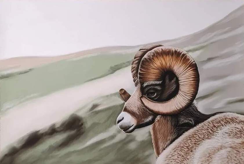 Væren