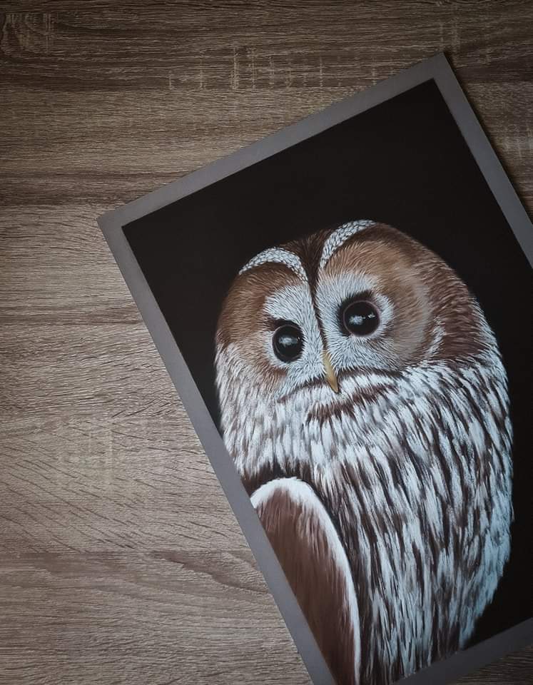 Night owl