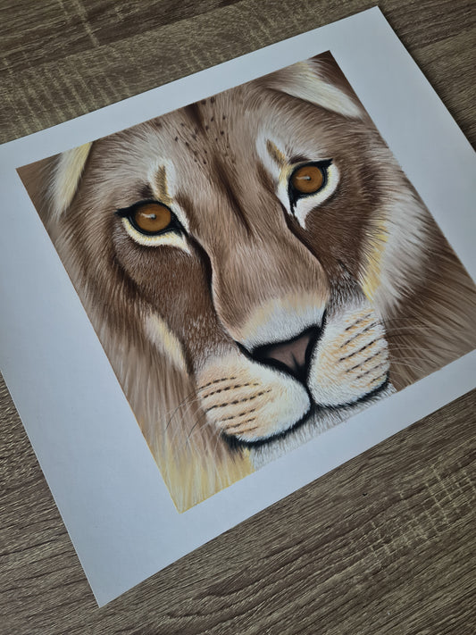 The look of a lion
