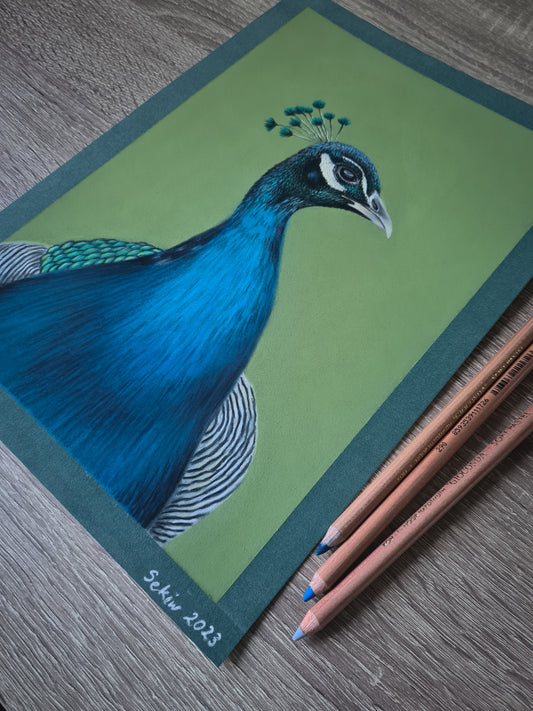 Proud as a peacock