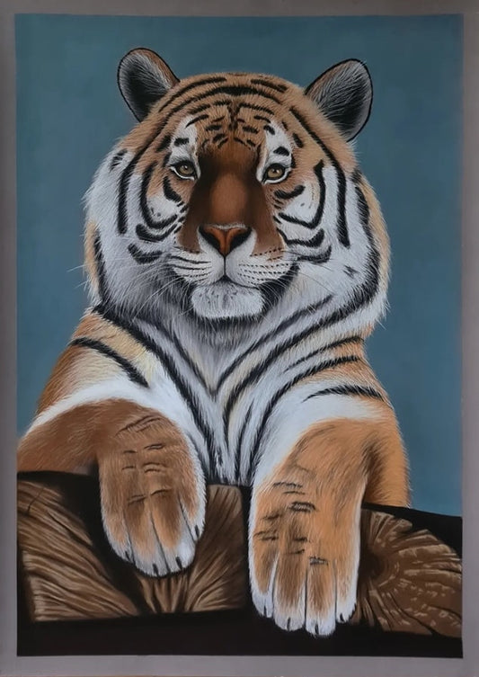 Big kitty