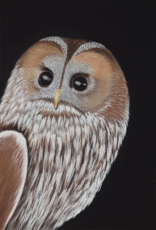 Night owl